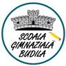 Școala Gimnazială Budila
