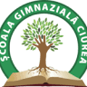 Scoala Gimnaziala Ciurea