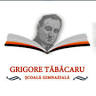 Şcoala Clasele I-VIII GR. Tabacaru