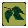 Cranham Scout Centre