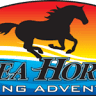 Sea Horse Fishing Adventures