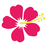 Nishimuta FC Okinoerabu Syokuhin-kan