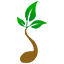 Seedlings Early Learning Centre - Rochedale