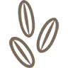 Seedtime Acres