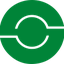 Seguridad SVG