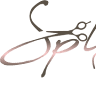 Split Ends Hair Design