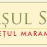 Primăria Orașului Seini