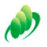 Seisen Clinic Orthopaedic Surgeon and Internist