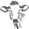 Semiema Farms