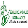 Semillero Andaluz
