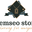 Semseo store