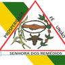 Prefeitura Municipal de Senhora dos Remédios