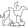 Serenity Animal Hospital & Pet Resort