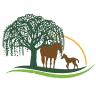 Serenity Counseling Services
