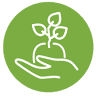 SCEA Horticoles David-Deshoullieres
