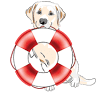 Service Dogs Saving Lives