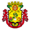 Cemei Dolores Damo de Oliveira