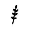 Sfarinà
