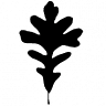 Shalom Community Church
