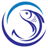 Shan International Co.,Ltd