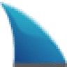 Shark dive