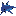 Sharktooth Networks
