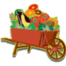 Sharon Farm Market