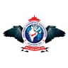 SHA-SHIB AEROSPACE ENGINEERING (DGCA, Government of India approved)
