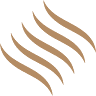 Shaw Wines