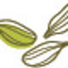 Shega Foods