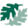 Shiawassee Health and Wellness