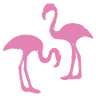 Shibuya Sekukyaba Flamingo