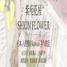 紫苑花屋 shion flower shop