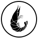 shirakura.com.ua