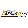 SHOOT BOXING ASSOCIATION