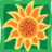 Community Natural Foods