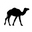 Bedouin