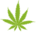 ShopChronic