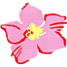 Magnolia's Of St Jacobs