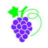 Vino Sandro Wine & Spirits