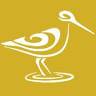 Shorebird Expeditions