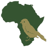 SHRIKE SAFARIS