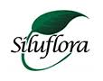 Siluflora