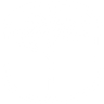 The Silver Birch