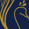 Silver Peacock & Co - Tradies Accountant