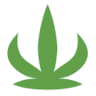Silver Stem Fine Cannabis Fraser Winter Park Area Dispensary