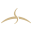 Hunt Community