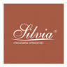 Silvia Chocolates Artesanais - Loja de Chocolates, Cestas e Presentes