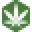 Sinsemilla Street Grow Shop