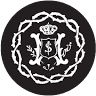 Siervas de María, Ministras de los Enfermos